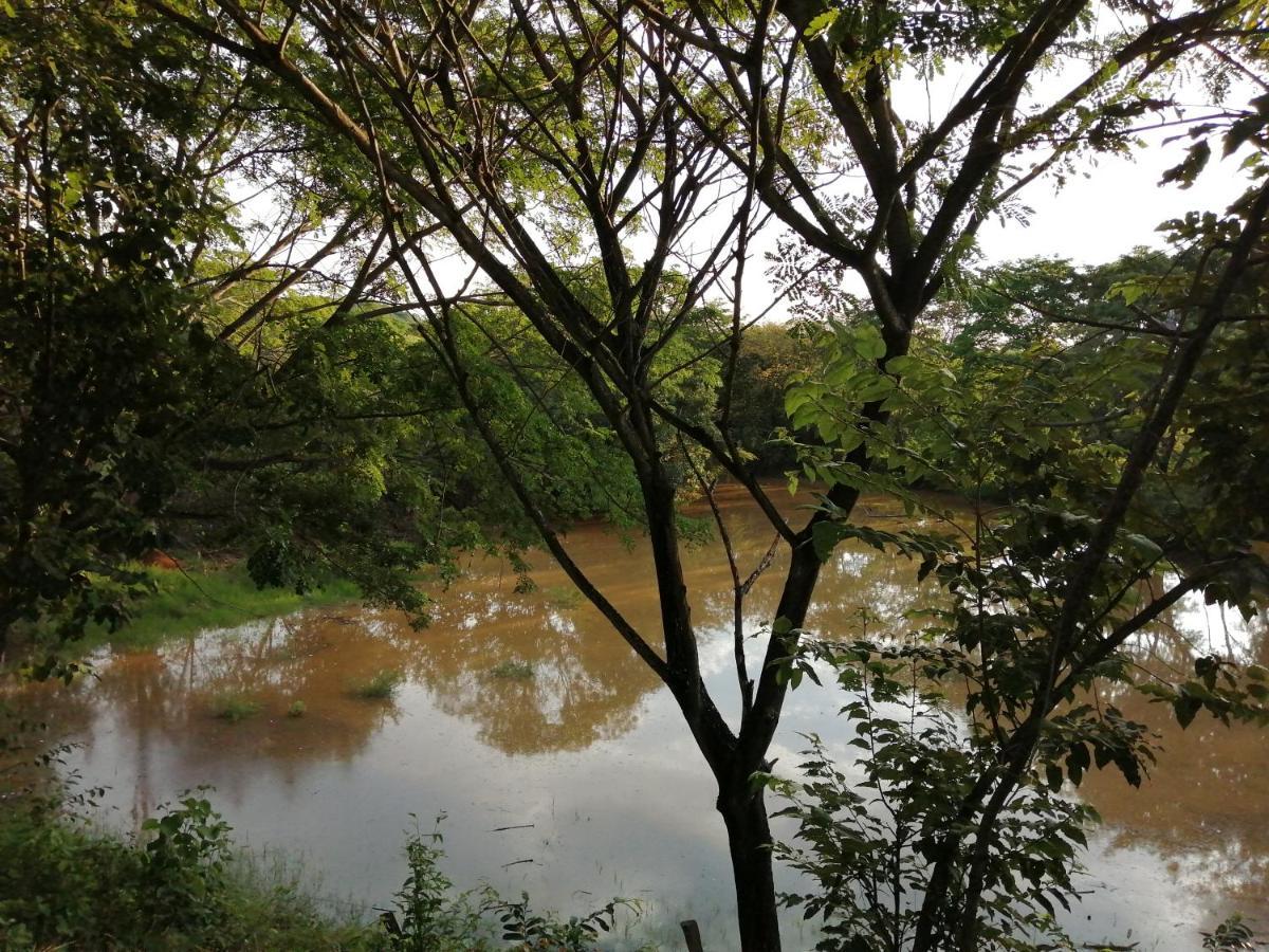 Finca Ecoturistica Los Jagueyes Baraya Exteriör bild