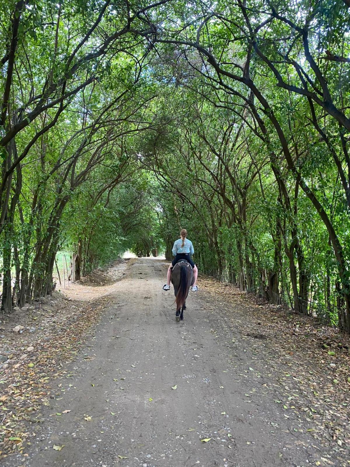 Finca Ecoturistica Los Jagueyes Baraya Exteriör bild