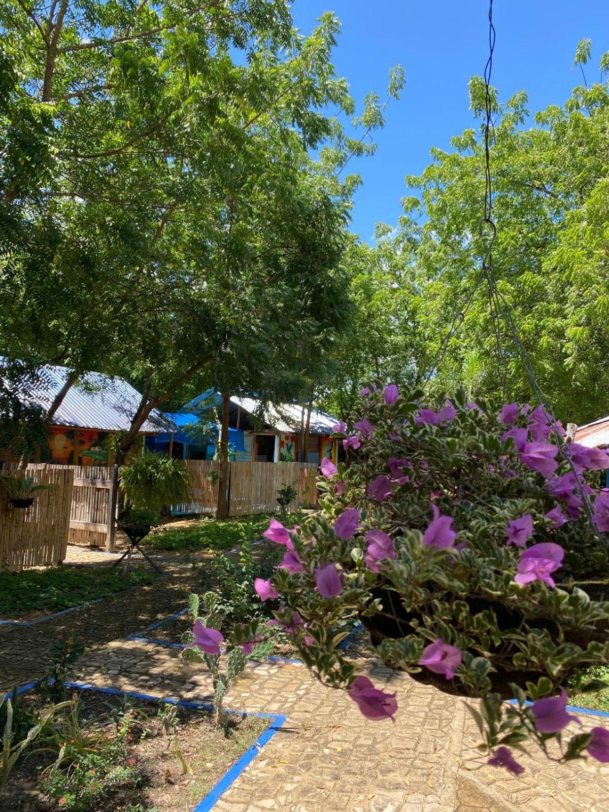 Finca Ecoturistica Los Jagueyes Baraya Exteriör bild